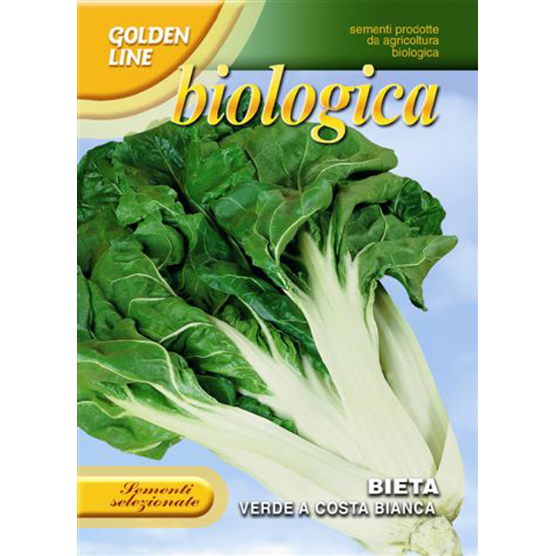 Org Swiss Chard White